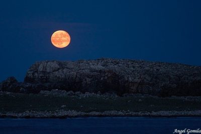 Imágenes De Luna Roja montes
