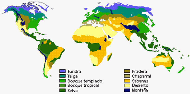 Imágenes De Mapas Mundi biomas
