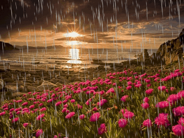 fotos de paisajes bonitos con gif de flores