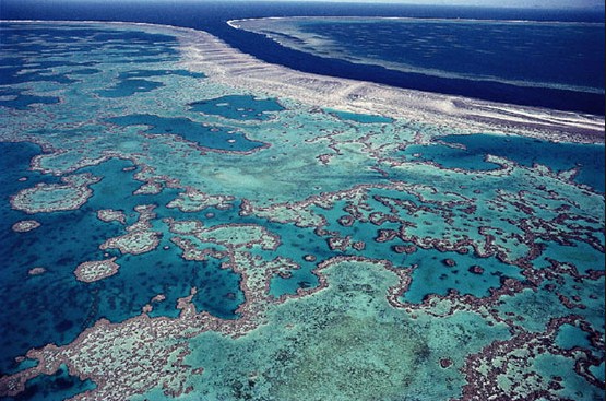 arrecifes-de-coral-en-el-mundo