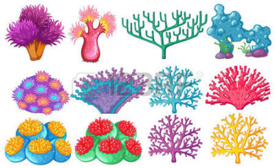 arrecifes-de-coral-dibujos-animados