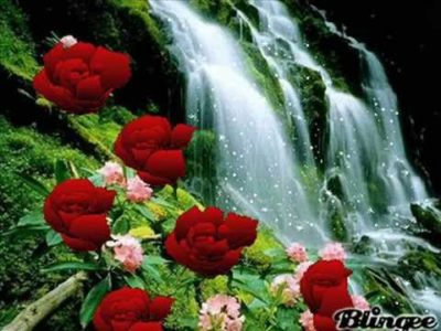 cascadas-con-flores-hermosas