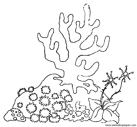 dibujos-de-arrecifes-coralinos-para-colorear
