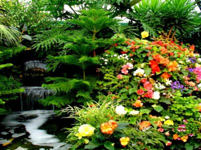 imagenes-de-paisajes-hermosos-con-cascadas-y-flores-gratis