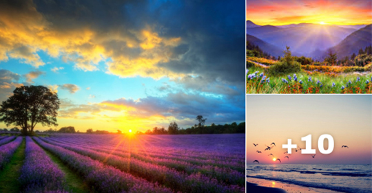 imagenes de paisajes hermosos en el amanecer